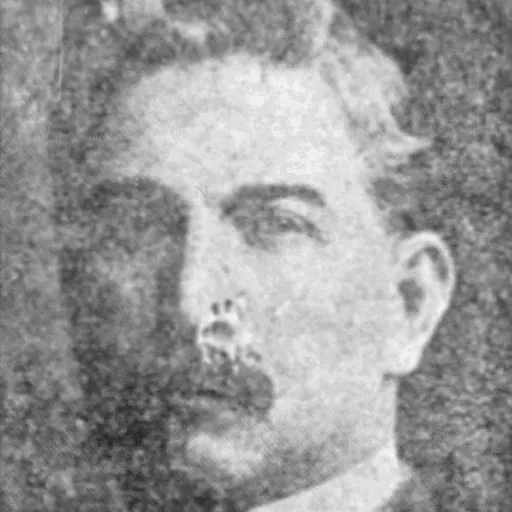 Portrait of Joseph T. Johnson