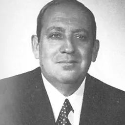Portrait of Giovanni Del Rio