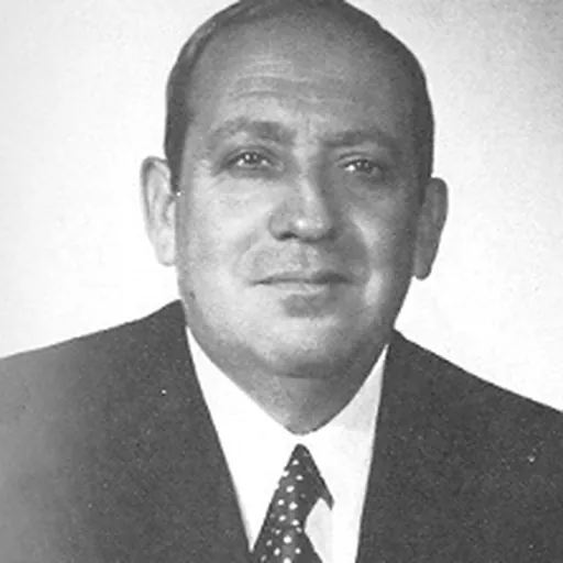 Portrait of Giovanni Del Rio