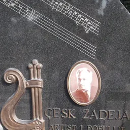 Portrait of Çesk Zadeja
