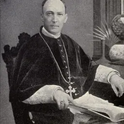 Portrait of Nicolaus Aloysius Gallagher