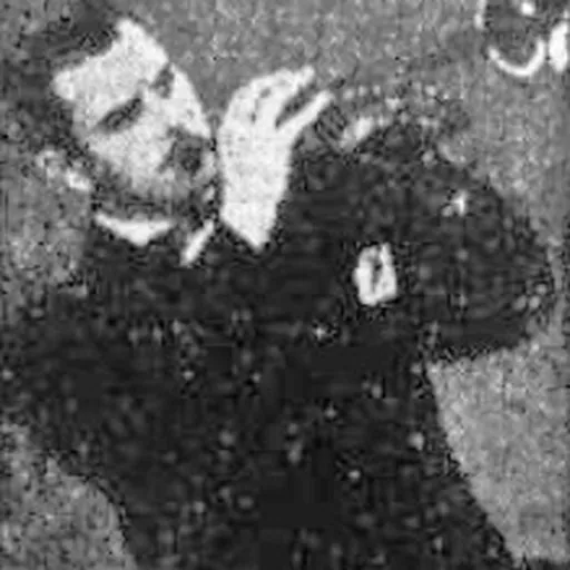Portrait of Roy Stevens