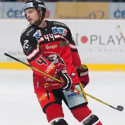 Portrait of Petr Šenkeřík
