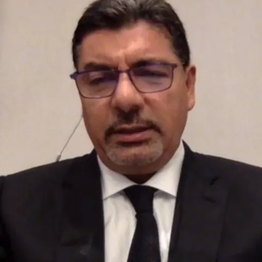 Portrait of Bahaa Hariri