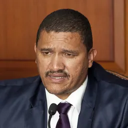 Portrait of Marius Fransman