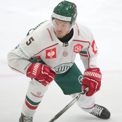 Portrait of Filip Johansson