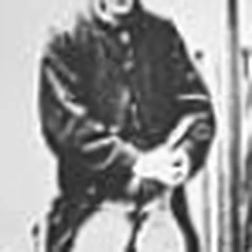 Portrait of Davie Park