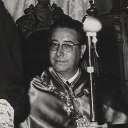 Portrait of José Luis Villar Palasí
