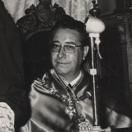 Portrait of José Luis Villar Palasí