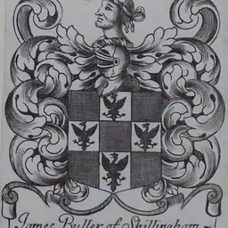 Portrait of James Buller