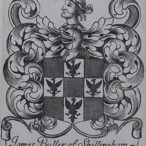 Portrait of James Buller