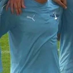 Portrait of Ricardo Ferreira da Silva