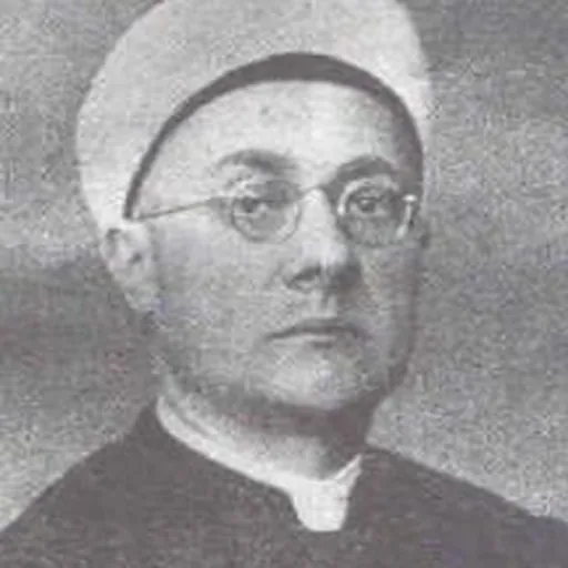 Portrait of Mehmed Handžić