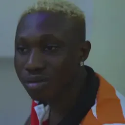 Portrait of Zlatan Ibile