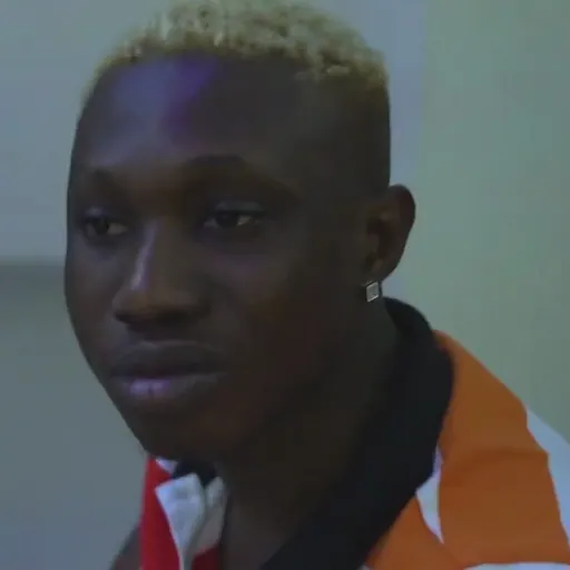 Portrait of Zlatan Ibile