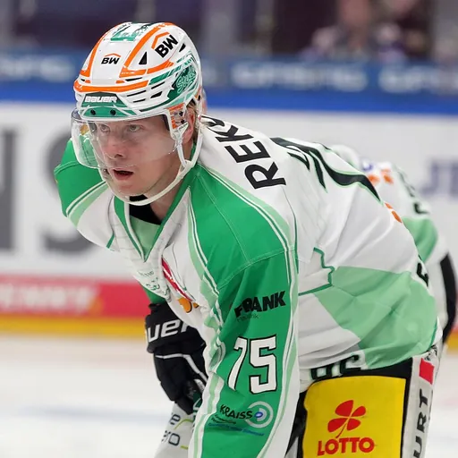 Portrait of Teemu Lepaus