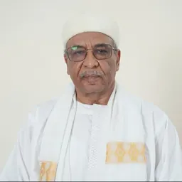 Portrait of Ahmat Hassaballah Soubiane
