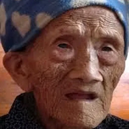 Portrait of Luo Meizhen