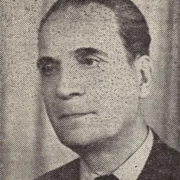 Portrait of Vladimir Streinu