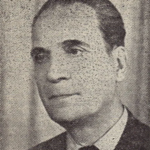 Portrait of Vladimir Streinu