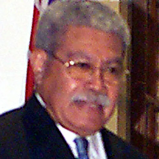 Portrait of Laisenia Qarase