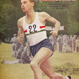 Portrait of Gábor Benedek