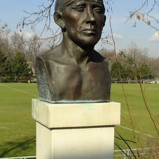 Portrait of Dezső Fábián