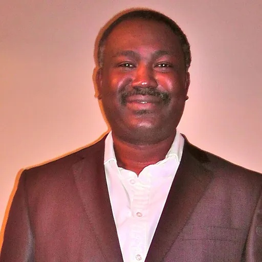 Portrait of Gbenga Toyosi Olawepo