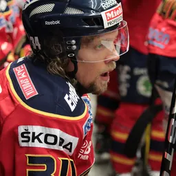Portrait of Daniel Tjärnqvist