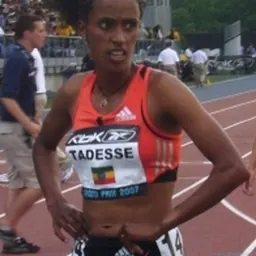 Portrait of Mestawat Tadesse