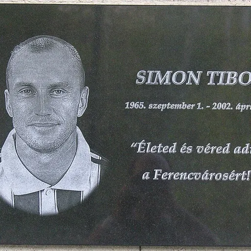 Portrait of Tibor Simon