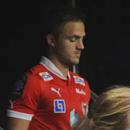 Portrait of Mats Solheim