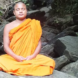 Portrait of Saranangkar Thera