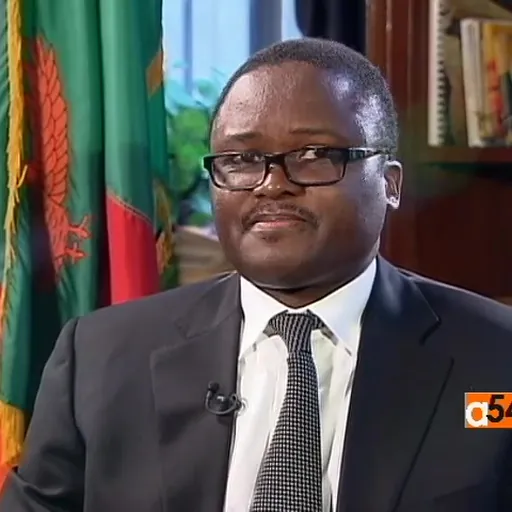 Portrait of Palan Mulonda