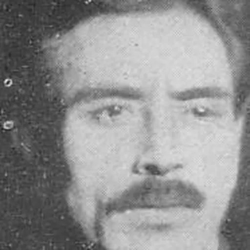 Portrait of Kyuzo Mifune