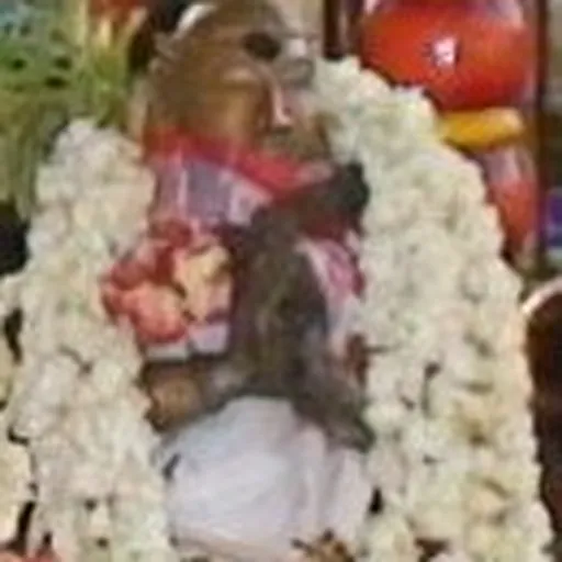 Portrait of Iyarpagaiar
