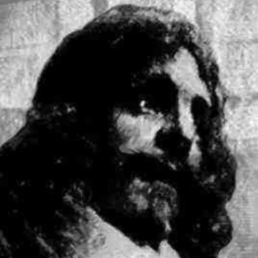 Portrait of Gérard Desargues