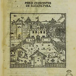 Portrait of Matteo Capcasa