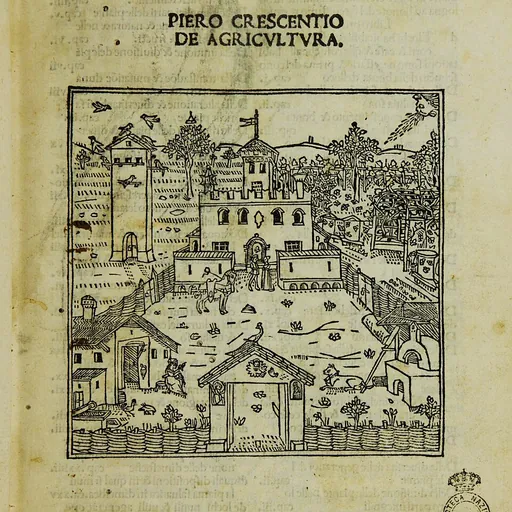 Portrait of Matteo Capcasa
