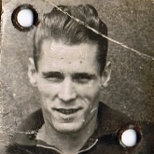 Portrait of Jacques Perrier