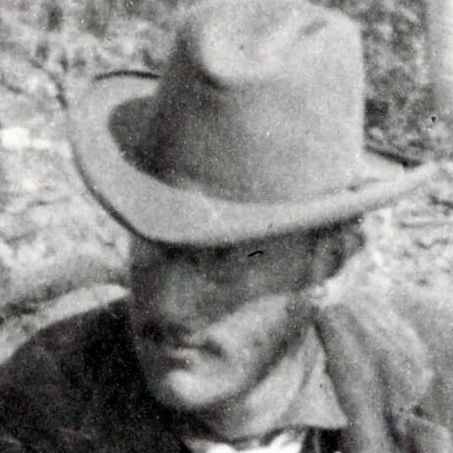 Portrait of Conway MacMillan