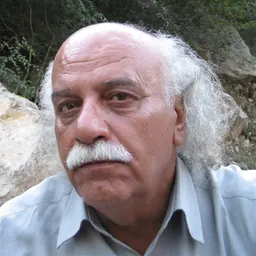 Portrait of Mohammad Mostaghimi
