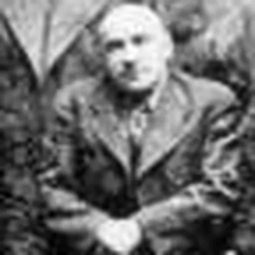 Portrait of Moshe Shalit