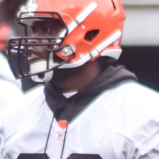 Portrait of Emmanuel Ogbah