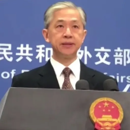 Portrait of Wang Wenbin