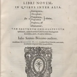 Portrait of Giulio Sirenio