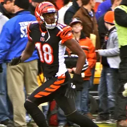 Portrait of A. J. Green