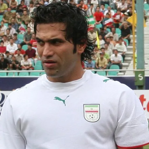 Portrait of Alireza Vahedi Nikbakht