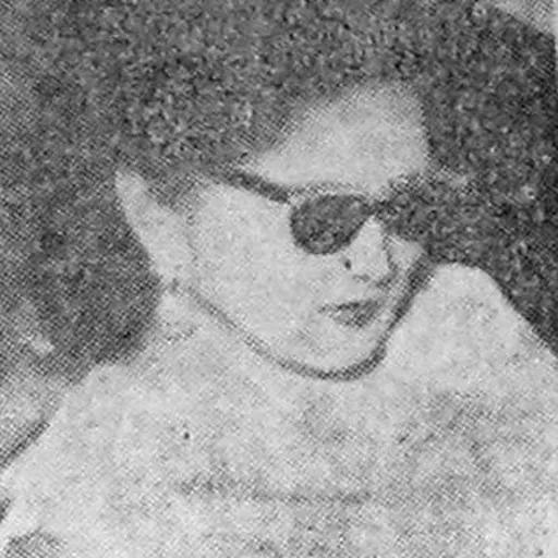 Portrait of Titien Sumarni