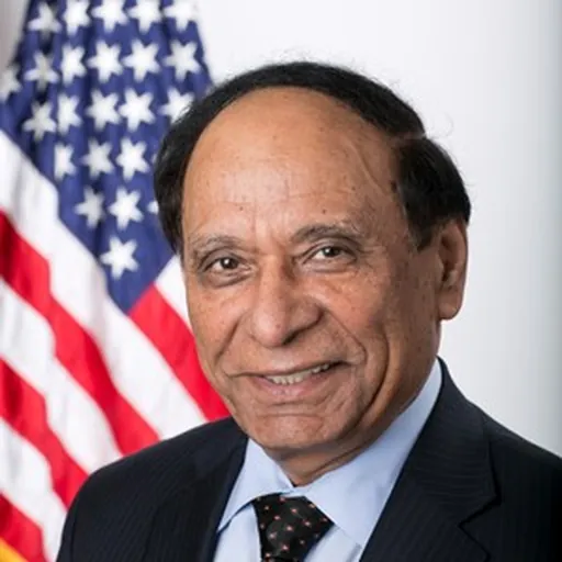 Portrait of Islam A. Siddiqui
